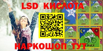 крисы Новозыбков