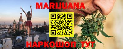 крисы Новозыбков