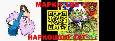 крисы Новозыбков