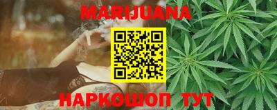 крисы Новозыбков