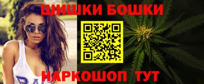 крисы Новозыбков