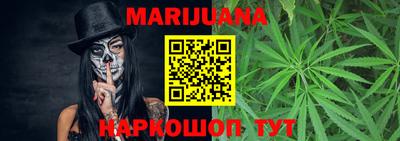 крисы Новозыбков