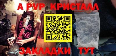 крисы Новозыбков